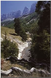  El Valle de Zuriza ...