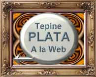  Premiada por: velocidad de apertura, la sencillez de navegaci&oacute;n y la valoraci&oacute;n para el visitante 
